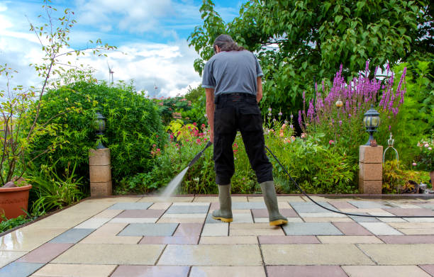 Best Sidewalk and Walkway Cleaning  in Ave Maria, FL